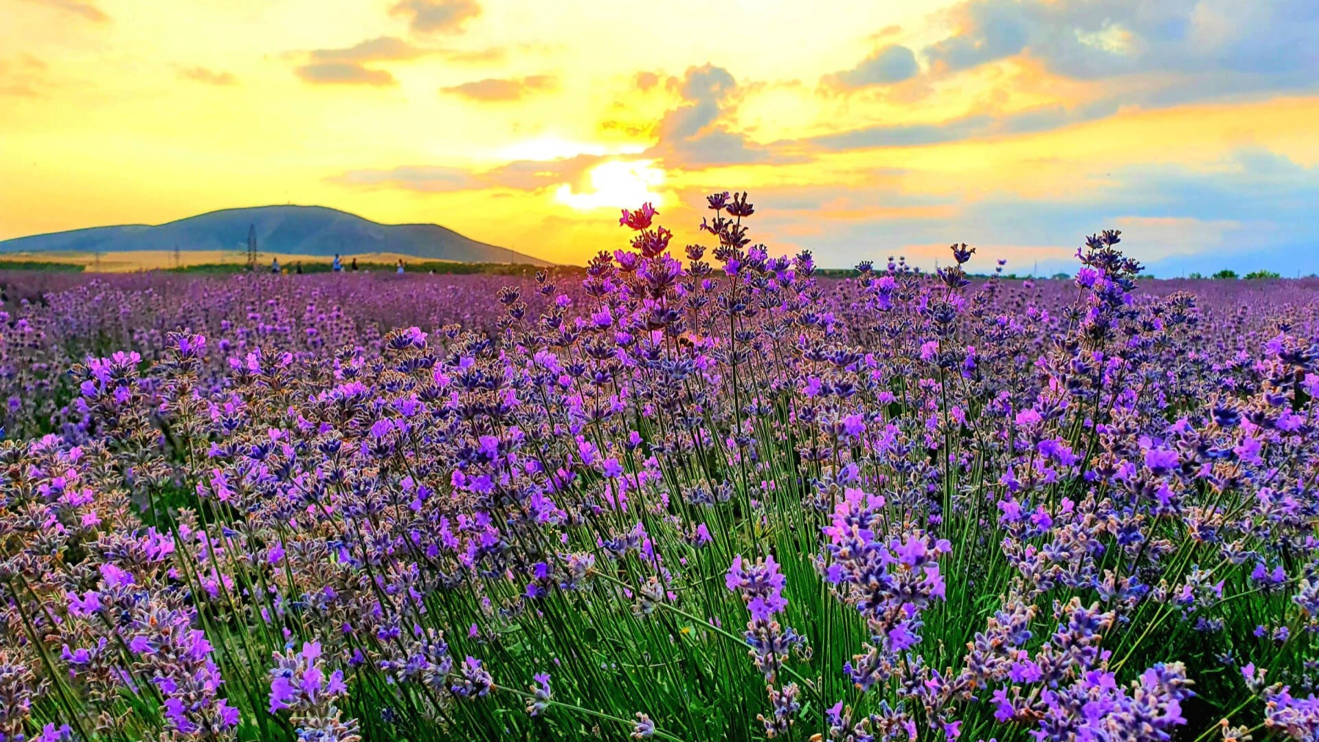 Discover Azerbaijan